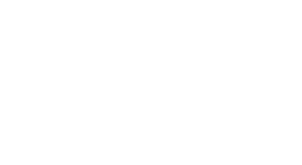 dzt