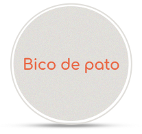 Categoria_joy_2